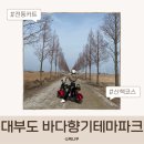 대부도 관광안내소 | 아이랑 가볼만한 대부도 바다향기테마파크 노을 산책 &amp; 4륜카트 체험