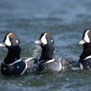 바디클래스 이미지