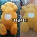 진주홈데코