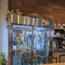 금구리 | 영주 카페 택지 커피명가 내돈내산 후기