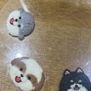 Dear my dog(디어마이독) 네이버블로그