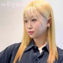 헤어담 이미지