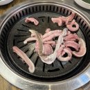 산꼼장어 이미지