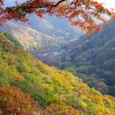 백양사농업협동조합 이미지