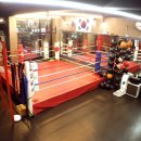브리드 복싱GYM 이미지