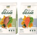 에스비 소프트 이미지