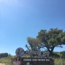 삼보목장 이미지