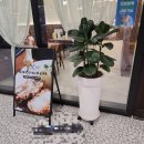 미스터빠삭 | 광명역맛집 | 카츠린 광명점, 2cm 두께 육즙의 광명돈까스 20여종 맛집 후기 (구.미스터빠삭)