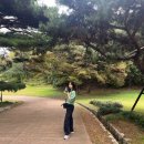 어바닉30 릭비니트 후기