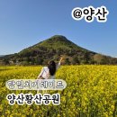 황산공원 서부주차장1번 | 당일치기 데이트 양산황산공원유채꽃 주차 포토존