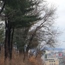 제천시민공원 이미지