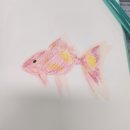 (주)에버뷰 | 194번째 - 다이어트 약을 처음 먹어봤어요 / 초록이 쓰리데이즈 내돈내산 후기