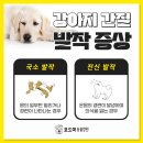 석적동물병원 이미지