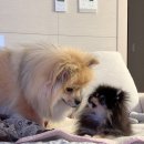 하구암리21 이미지