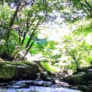 자연의소리 이미지