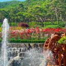 장미원내부 이미지