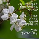 3월 31일(월) 오늘은 3월의 마지막 날 이미지