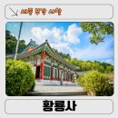 세종 사찰 황룡사 후기 ㅣ 부강면 숨은 명당 사찰, 적멸보궁까지 직접 다녀온 힐링 여행