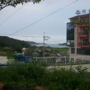 라이브구이 이미지