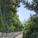 누에섬등대 이미지