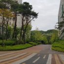 새뜸세탁소 네이버블로그