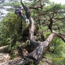 화북초교 용화분교 이미지