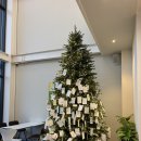 헤이브 | 광주 브런치 명소 용전동 반헤이브 후기