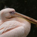 평택행정사사무소 이미지