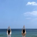 (주)안다미로24 이미지