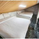 여수 도그펄슨 애견수영장펜션 이미지