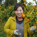 이순농장 이미지