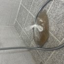 느티마을.경남빌라 이미지