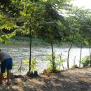 복돌이네 이미지