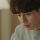 도깨비펫
