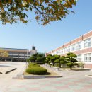 안강제일초등학교 이미지