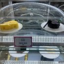 더카페소울