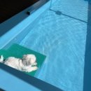 도기캠프 이미지