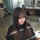 아리아스헤어 이미지