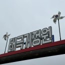 창녕 | 2025 창녕 유채축제 리얼후기 | 진짜 가봐야 할 이유