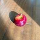 방개농장 | 2023년 11월