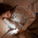 하루비어 이미지