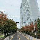 안남초등학교 버스정류장 주변 이미지