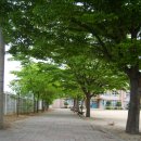 봉양중학교 이미지