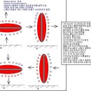 니콜라 테슬라 이미지