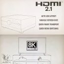 하반기 HDMI 2.1지원 제품 쏟아진다 이미지