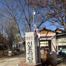 원조닭백숙 이미지