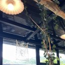 고택약수터 이미지