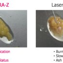 지엘제트 이미지