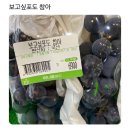 영인동물병원 | 24년 연말은.