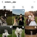 온마음을담다